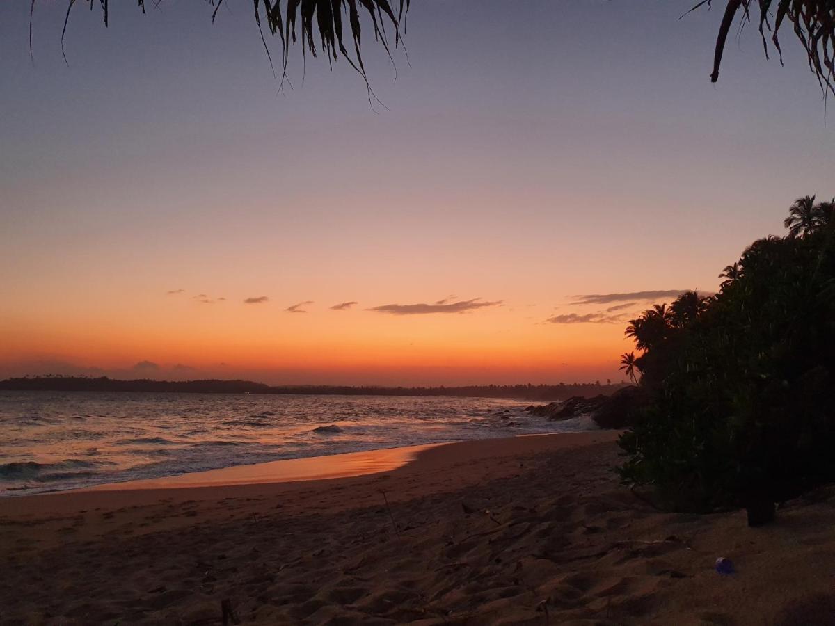 Into The Blue - Yoga Included & Walk To 3 Beaches Tangalle Exterior foto