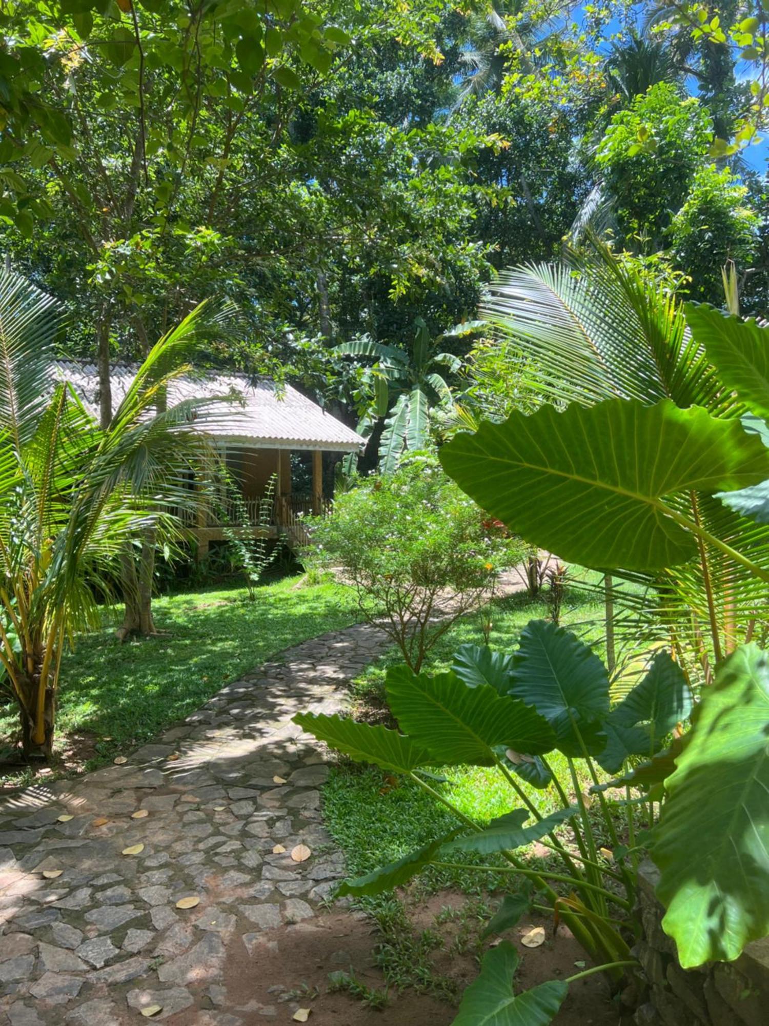 Into The Blue - Yoga Included & Walk To 3 Beaches Tangalle Exterior foto