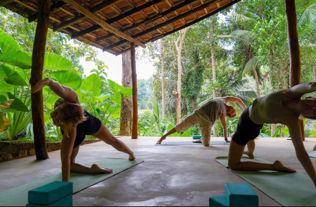 Into The Blue - Yoga Included & Walk To 3 Beaches Tangalle Exterior foto